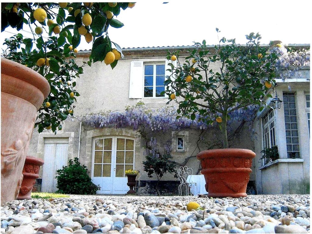 Beautiful-Chateau-Romer-was-unable-to-produce-its-2017-grand-vindue-to-difficult-weather-1024x769-1-1-1 Beautiful-Chateau-Romer-was-unable-to-produce-its-2017-grand-vindue-to-difficult-weather-1024x769-1-1-1
