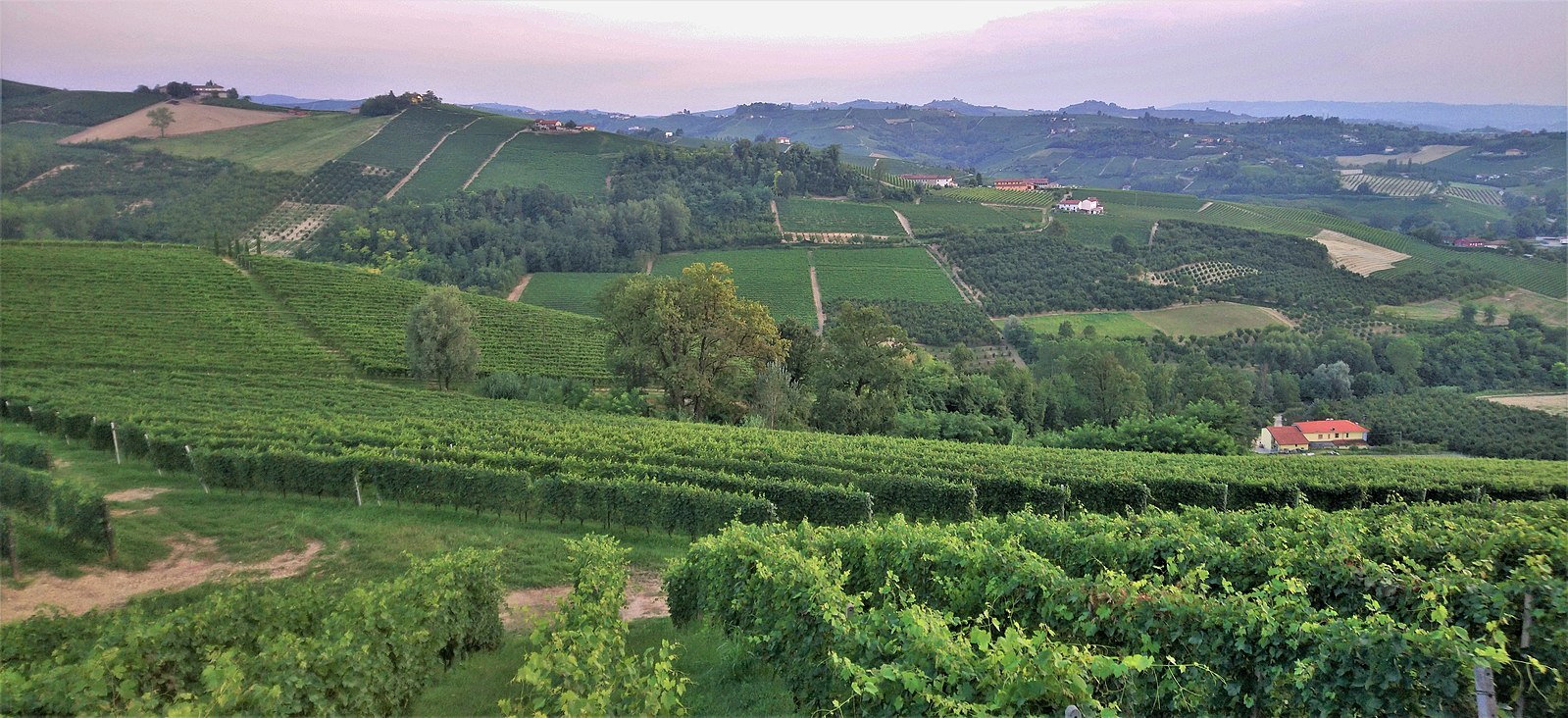 1599px-Tramonto_Barbaresco-1-1-1-1-1-1-1 1599px-Tramonto_Barbaresco-1-1-1-1-1-1-1
