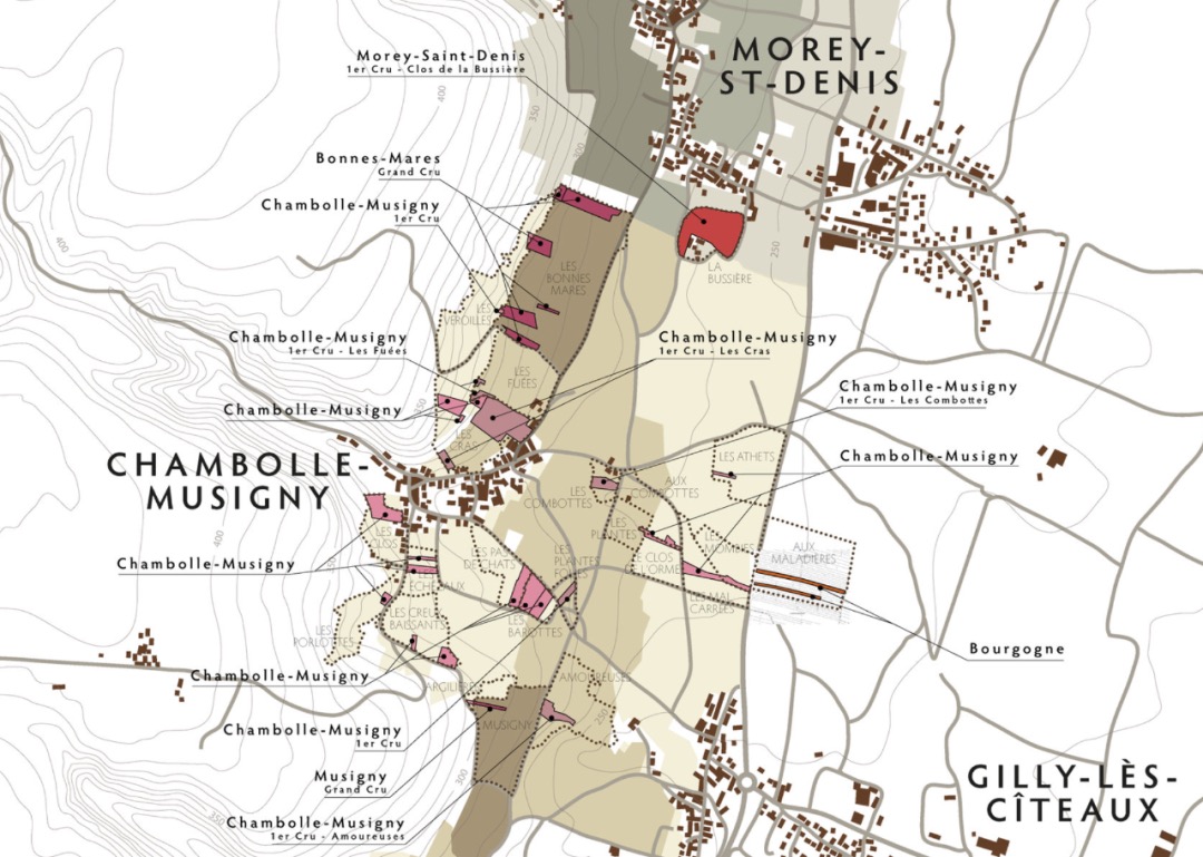 The-exact-location-of-each-of-Georges-Roumiers-plots-credit-Grand-Cru-Selections-1-1-1-1-1-1-1-1-1-2