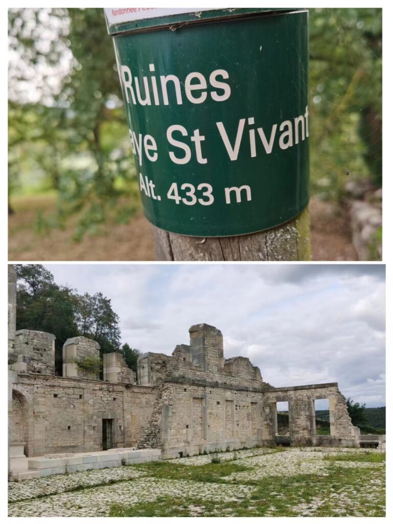 刚去了趟康帝酒庄– 赏源葡萄酒评论Terroir Sense Wine Review